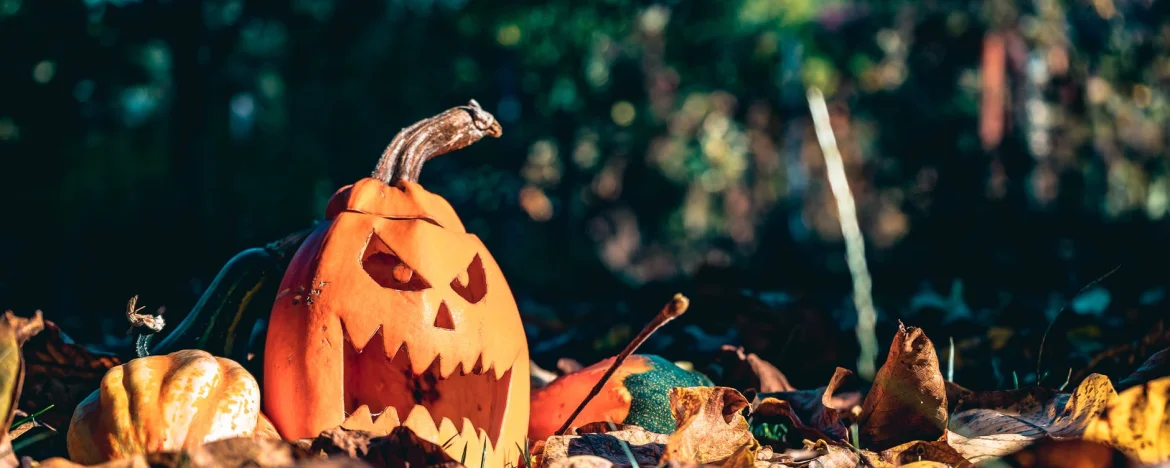 carved pumpkins with evil face