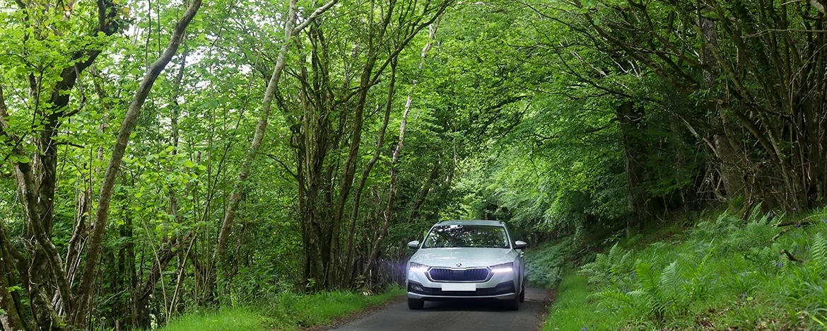 Skoda Octavia driving through trees