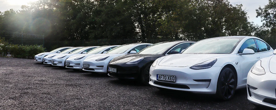 Tesla Model 3's lined up in a row