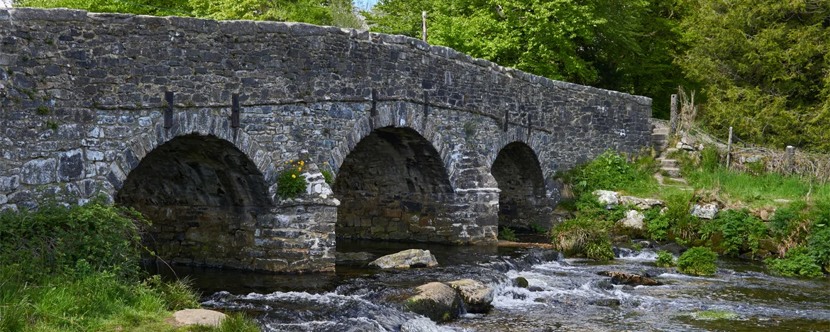 Bridge over the River Dart in Devon