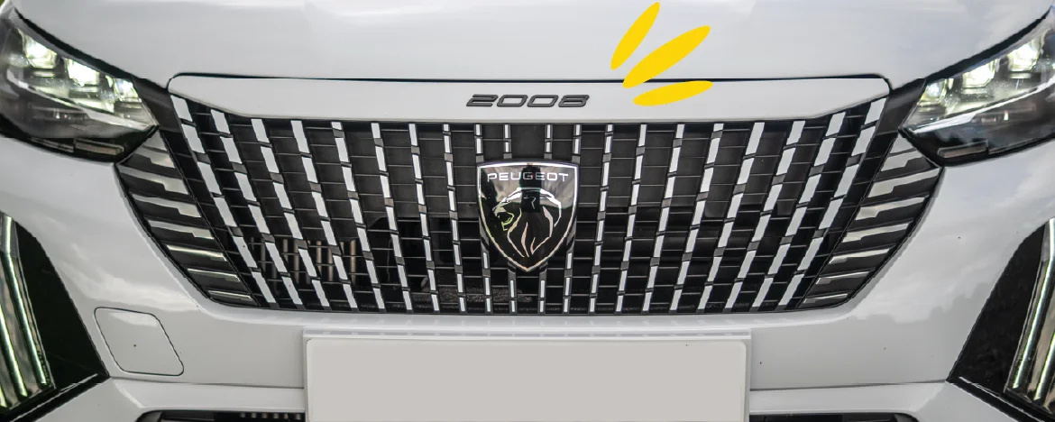 Peugeot 2008 grille