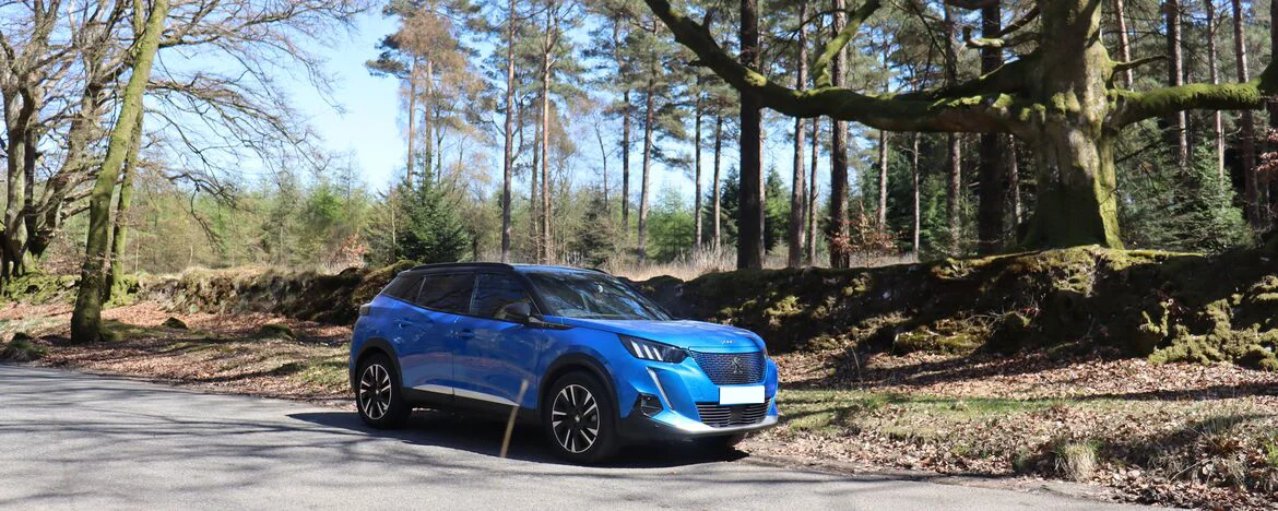 Peugeot e-2008 in woods