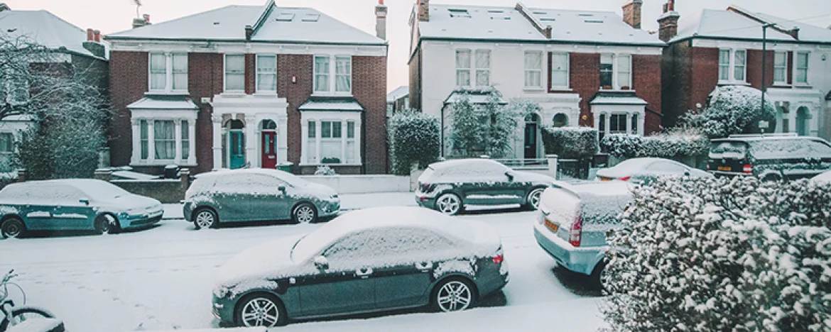 snow on parked cars