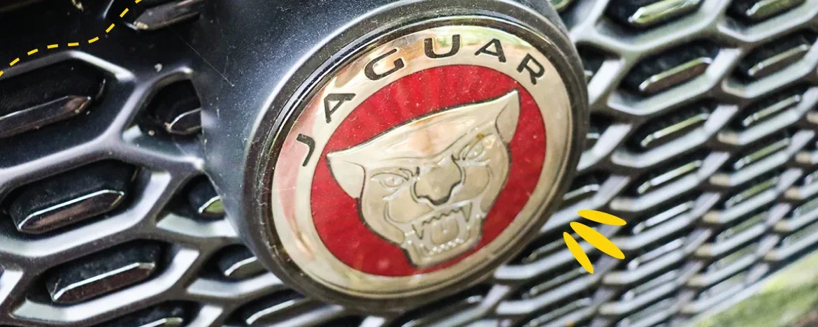 Jaguar I-PACE badge