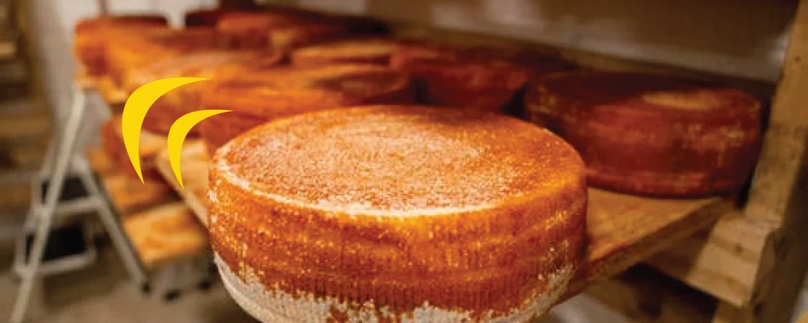 A wheel of cheese