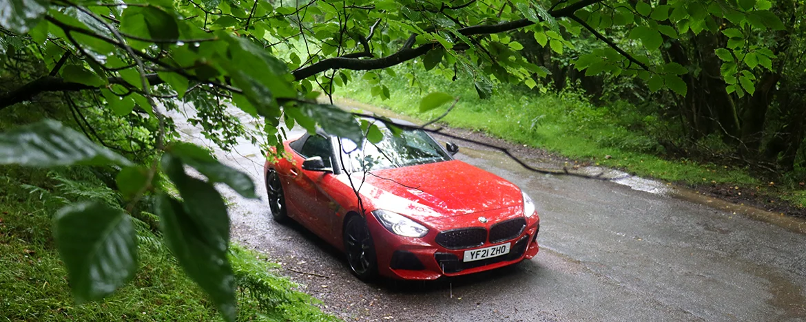 BMW Z4 driving under tree