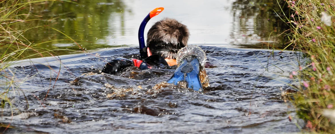 Man bog snorkelling