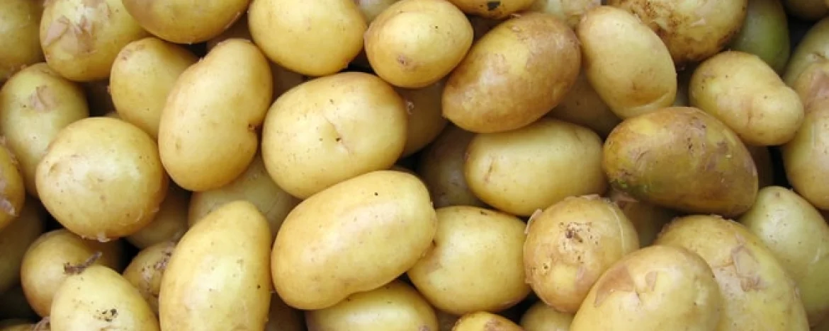 Potatoes