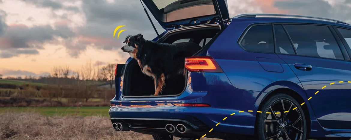 VW Golf estate with dog in boot