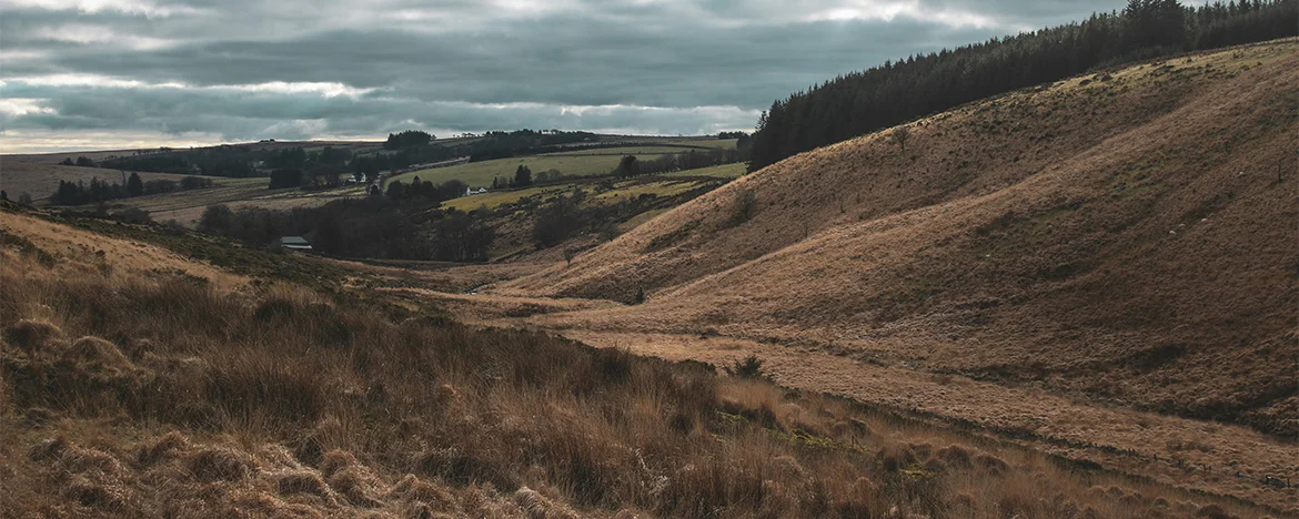 View out across Dartmoor
