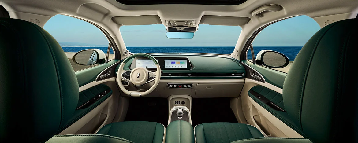 ORA Funky Cat interior