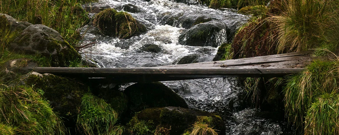Bridge across a stream