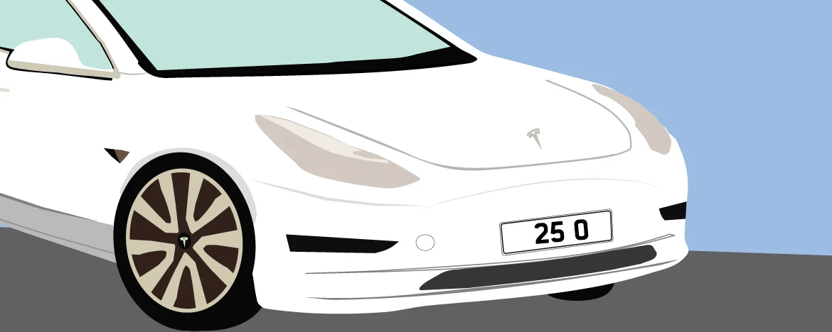 Tesla graphic with 25 0 personalised number plate