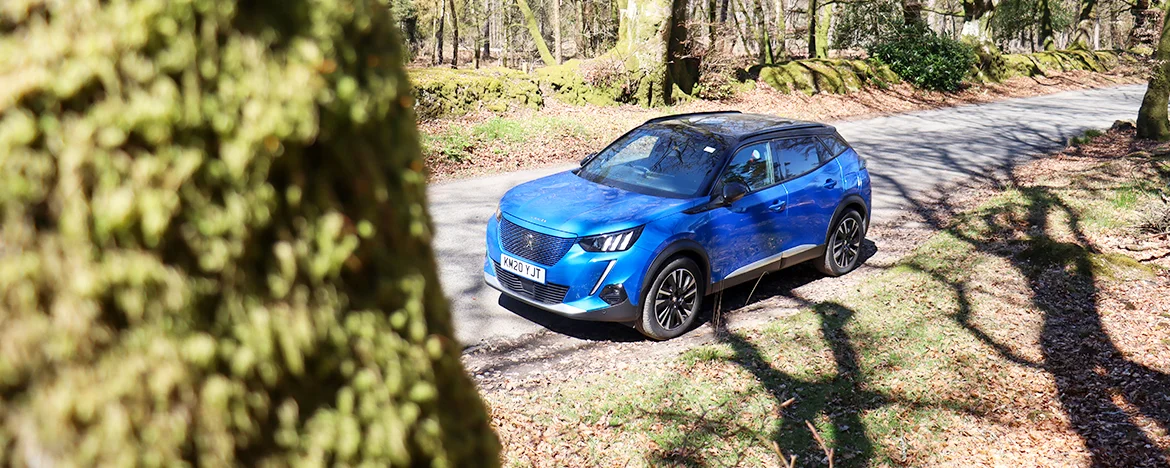 Peugeot e-2008 electric vehicle behind tree