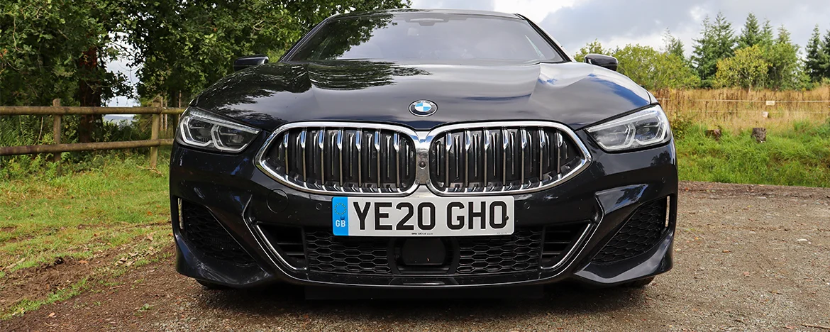 BMW 840i front grille