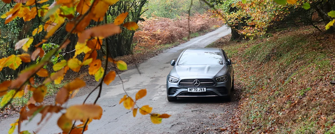 E-Class parked in woodland