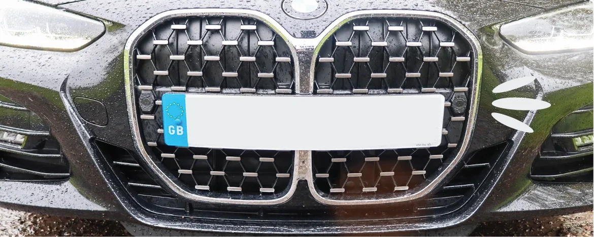 BMW 4 Series grille