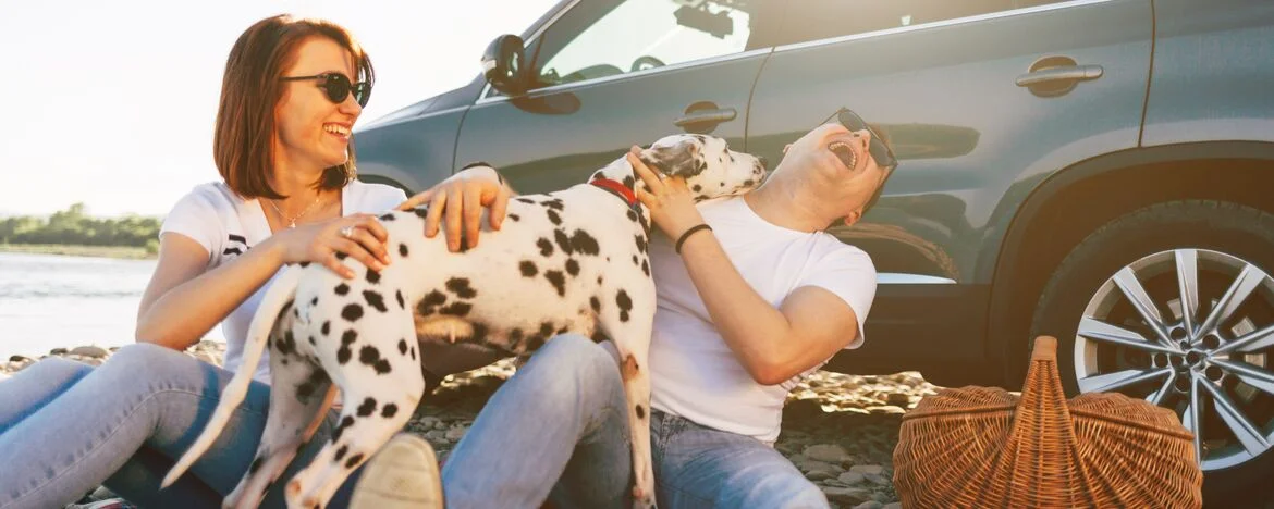 A couple laughing with their dog, sat on blanket for a picnic