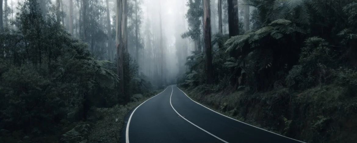 Deserted road with lots of fog