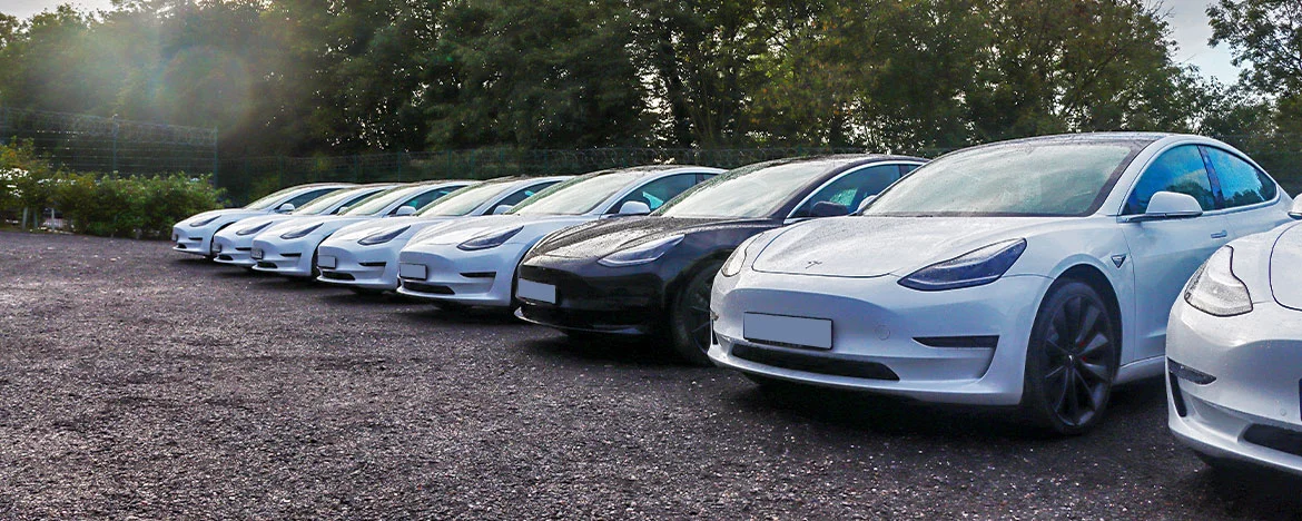 Tesla Model 3s lined up