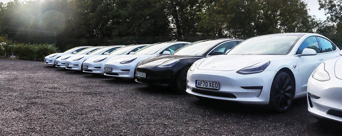 Tesla Model 3 cars in a line