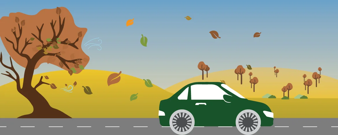 car driving in autumnal setting