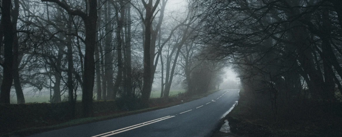 gloomy wooded road