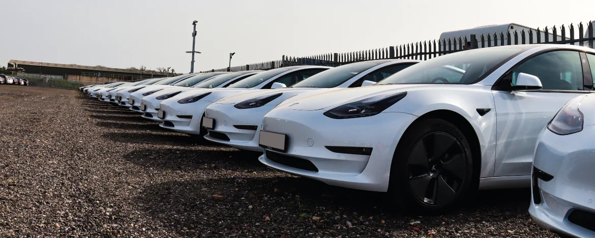 Tesla big delivery line up