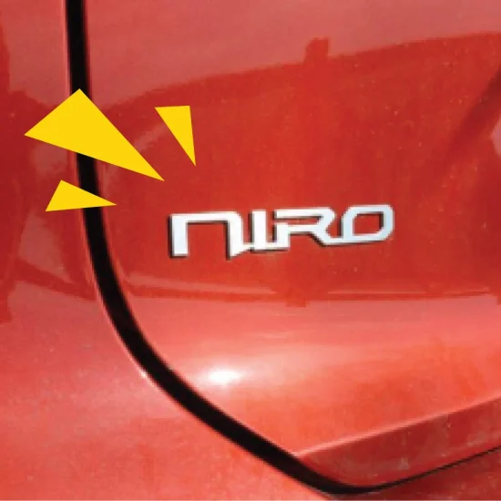 Kia Niro EV badge