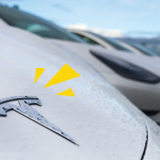 Tesla Badge in lineup