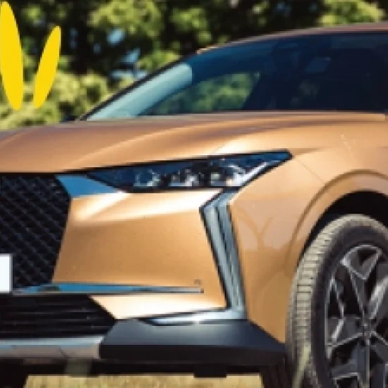 DS 4
