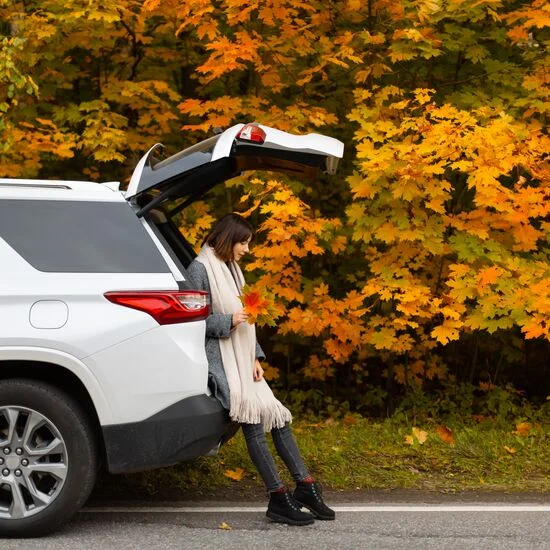 Person sat in the back of a car holding autumnal leaves