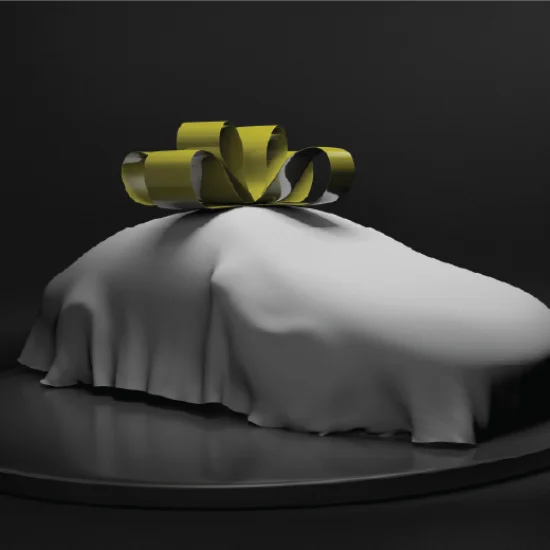 car under cover with bow