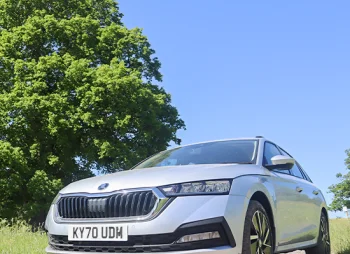 Skoda Octavia Estate Parked under tree