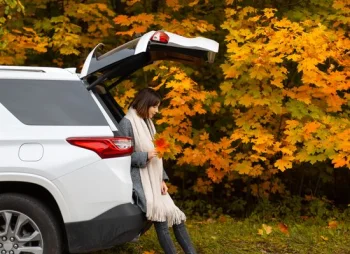 Person sat in the back of a car holding autumnal leaves