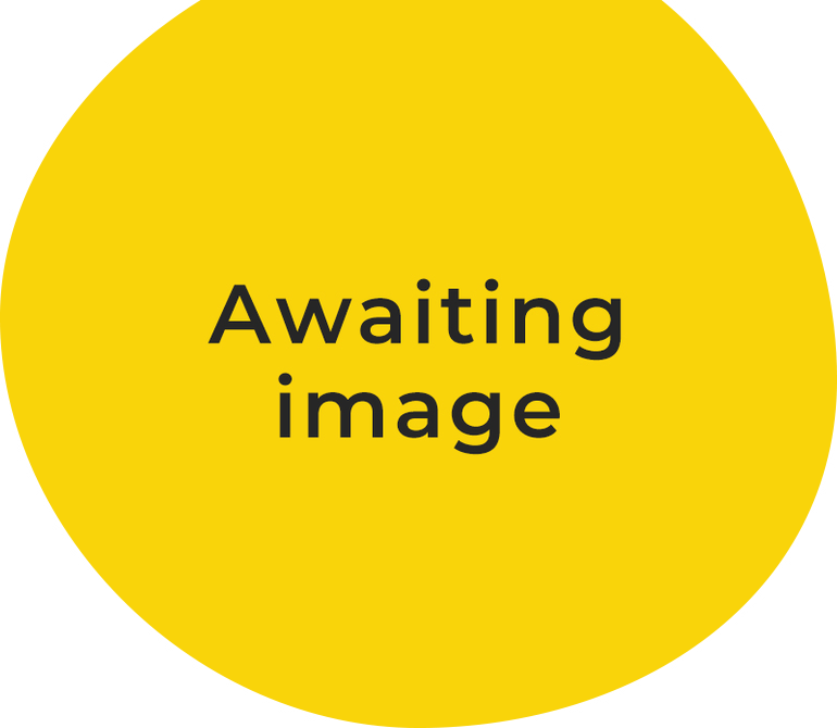 Awaiting image