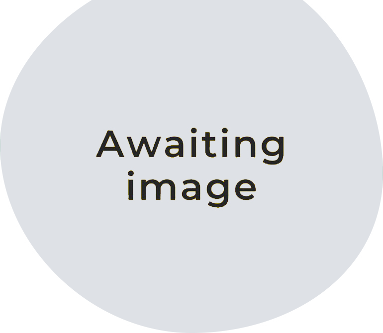 awaiting-image