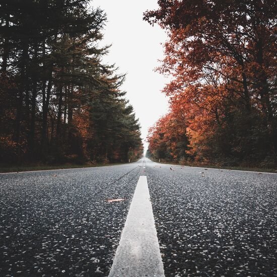 Empty country road