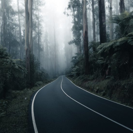 Deserted road with fog