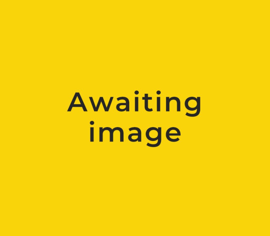 Awaiting image